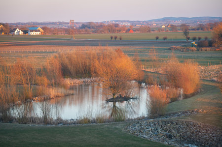 Pond in rural landscape in SkÃ¥ne (Scania) during winter time in Swedenの写真素材