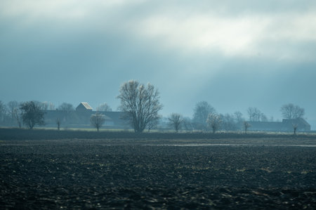 Gloomy winter day in farmland landscape in SkÃ¥ne Swedenの写真素材