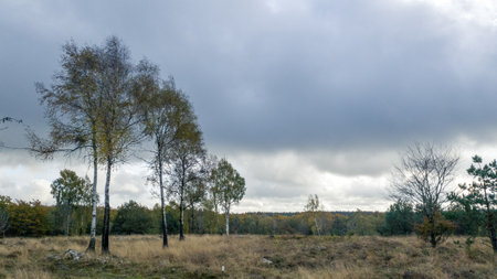 Dark clouds over forest landscape in SkÃ¥ne Sweden during autumnの写真素材