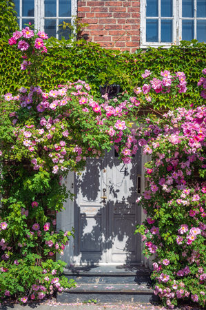 Rustic door covered in pink roses on brick cottage during springの写真素材