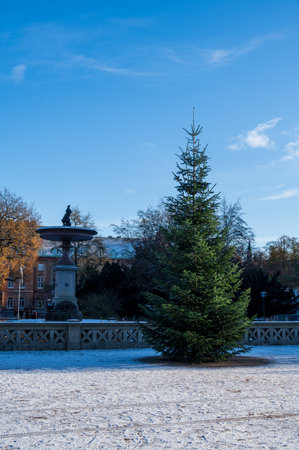 Simple christmas tree placed in park Universitetsplatsen in front of fountain during winter with snow i Lund Swedenの写真素材