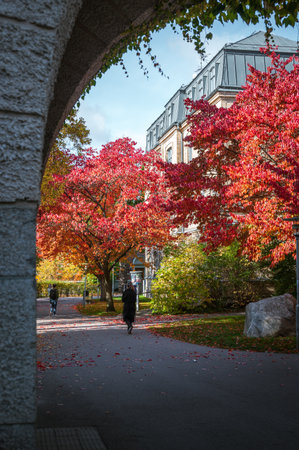Young students walking through university area filled with autumn colored trees in Lund Sweden on fall dayの写真素材