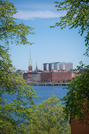 View over Stockholm and HÃ¶torgsskraporna skyscrapers framed by green leavesの写真素材