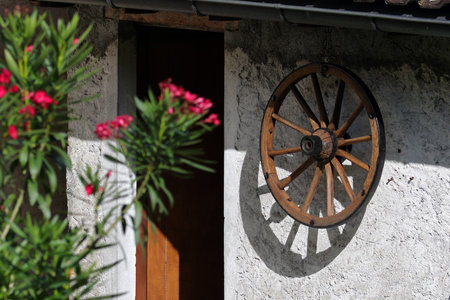Rural wall and entrance with wooden wheel decoration and blooming oleanderの写真素材