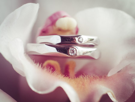 the Wedding rings on a beautiful flowerの写真素材