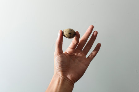 Nestling quail. Little Bird had a child in his hands.の写真素材