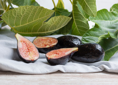 Ripe figs freshly picked from the fig treeの写真素材