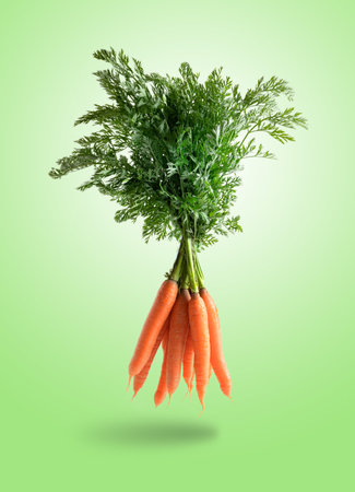 Bunch of fresh carrots, levitating isolated from the green backgroundの写真素材