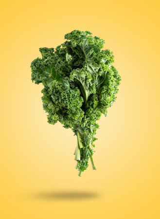 A levitating kale cabbage isolated from the orange backgroundの写真素材