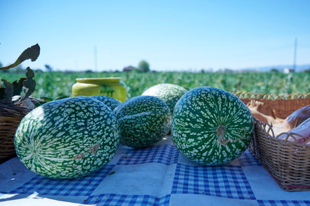 Farmers market stall, cultivated field backgroundの写真素材
