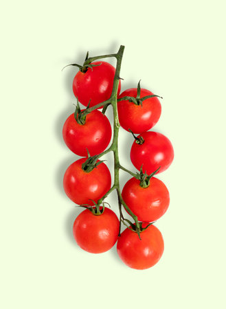 branch of cherry tomatoes on a green backgroundの写真素材