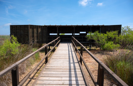 Bird lookout in a natural park next to the riverの写真素材
