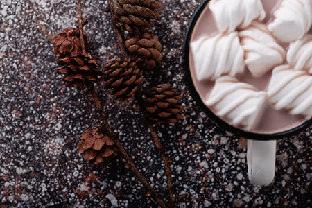 fir cones and cocoaの写真素材