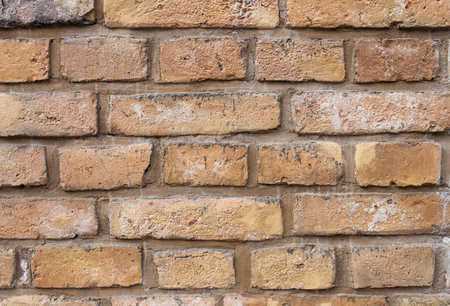 Brick wall