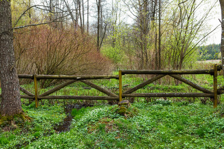 fence on green meadow in nice summer dayの写真素材