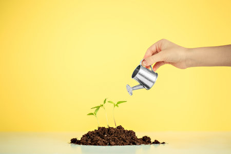 A woman waters a young plant in the ground on a yellow backgroundの写真素材