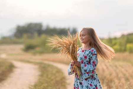 Beautiful smiling blonde girl in a field at sunsetの写真素材
