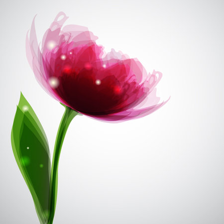 Background with transaprent flower's shape and lightsのイラスト素材
