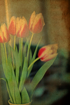 beauty spring flowers, vintage patternの写真素材