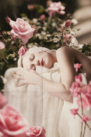 beauty young woman in pink roses, art collageの写真素材