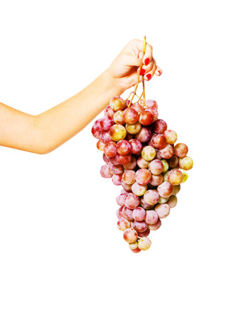Red grape isolated on white backgroundの写真素材