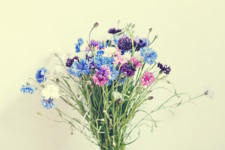 vintage postcard with colorful flowerの写真素材