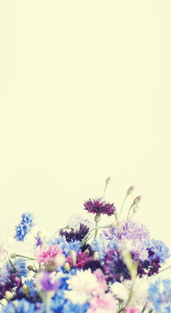 vintage postcard with colorful flowerの写真素材