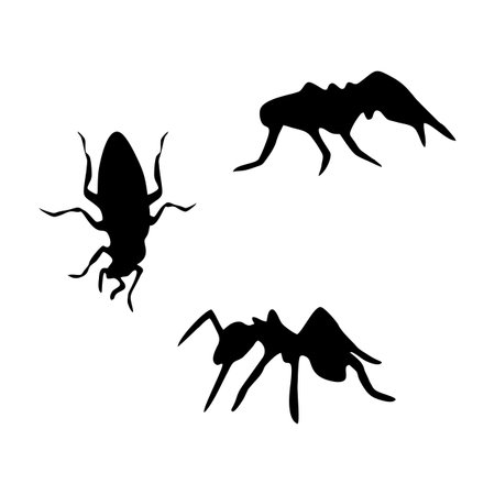 Insects icon vector illustration on white background.のイラスト素材