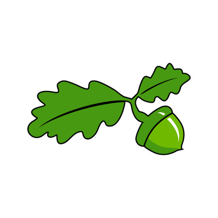 acorn vector iconのイラスト素材