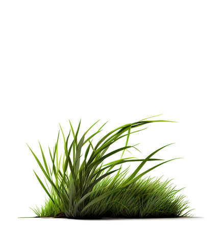 Green grass isolated on the white background, created with generative AIの素材