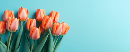 Orange tulips on the bright blue background, created with generative AIの素材