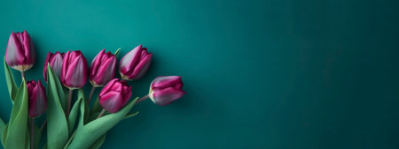 Magenta tulips on the teal background, created with generative AIの素材