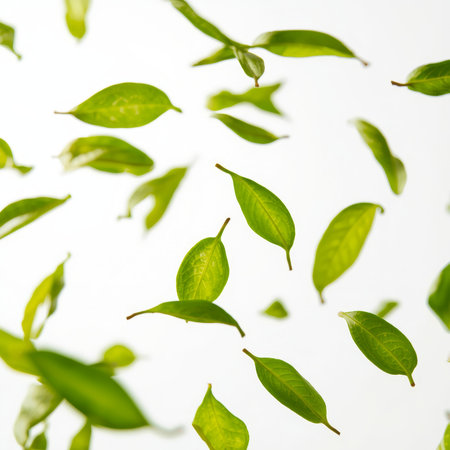 Fresh green tea leaves gently float mid-air, showcasing their delicate structure and vibrant color. This natural scene evokes a sense of tranquility and freshness during a sunny afternoon.の素材