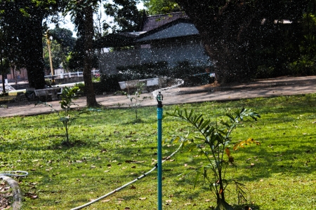 water sprinkleの写真素材
