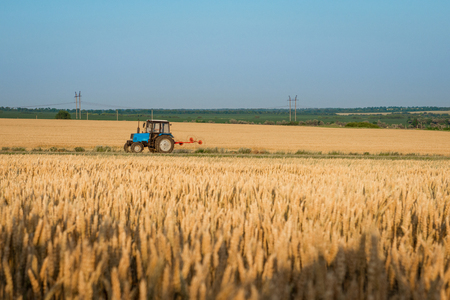 Tractor working on a wheat fieldの写真素材