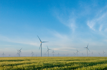 Group of windmills for electric power production in the green field of wheatの写真素材