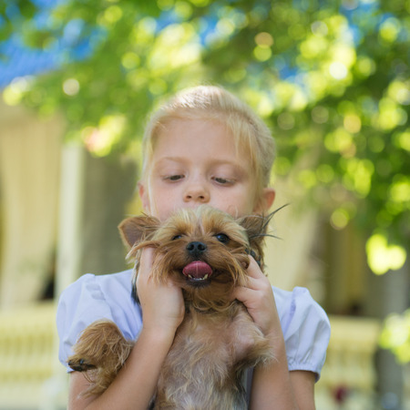 little girl holding a dogの写真素材