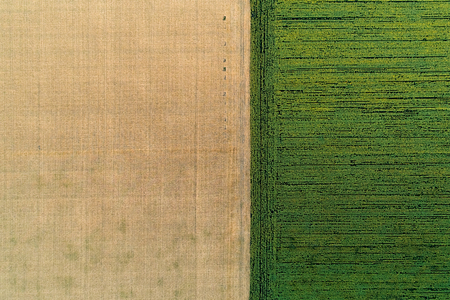 Scenic agricultural fields. Aerial view.の写真素材