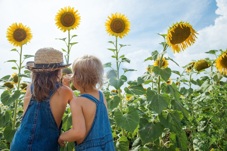 Two children are exploring flower sunflower outdoorsの写真素材