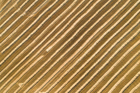 Scenic abstract agricultural fields. Aerial view.
