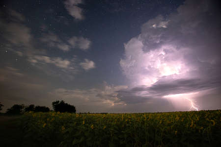 Time-lapse. Beautiful thunderstorm with clouds and lightning over a field with sunflowers at night.の写真素材