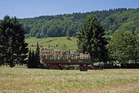 Fieldworkの写真素材