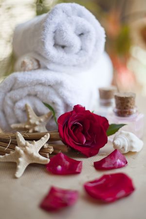 body careの写真素材