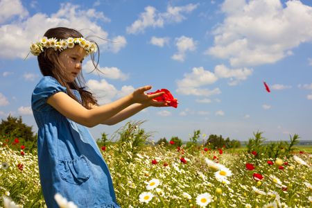 Sweet little girl on the beauty field with wild flowersの写真素材