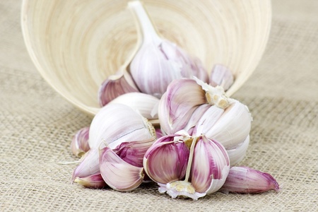 fresh garlicの写真素材