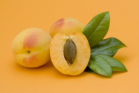 apricotsの写真素材