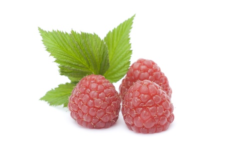 raspberries on white backgroundの写真素材