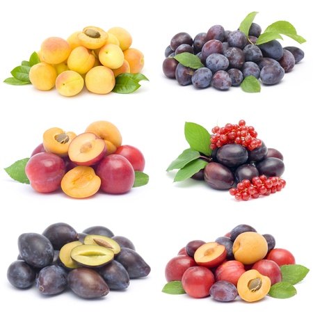collection of fresh fruitsの写真素材