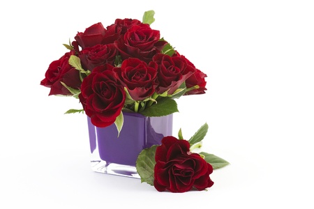 red rosesの写真素材