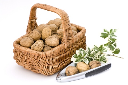 A basket full of walnutsの写真素材